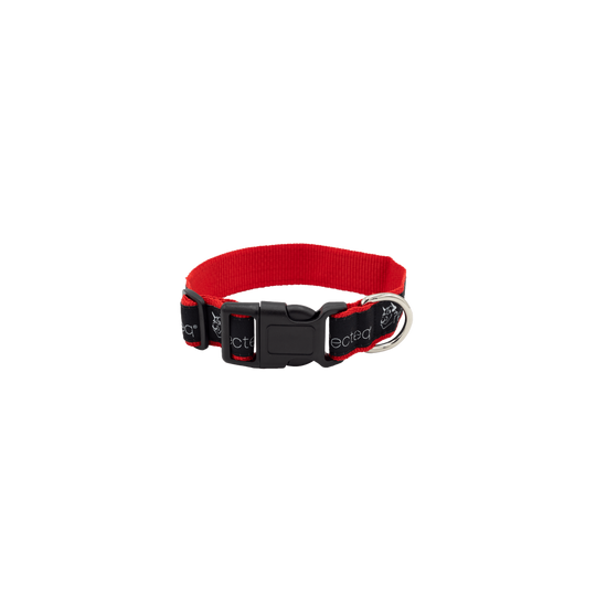 Dog Collar Small